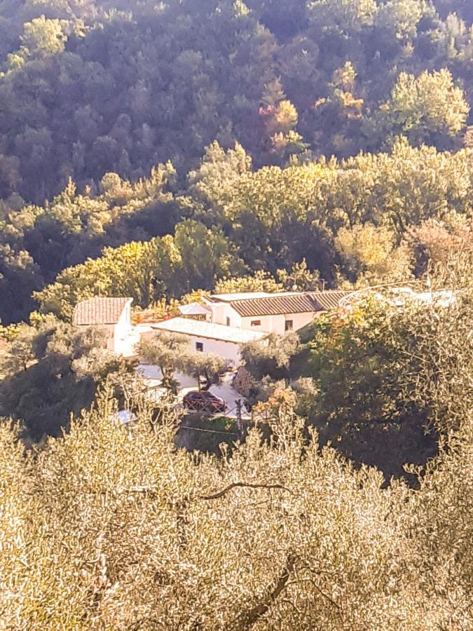 La Dimora Degli Angeli Bed & Breakfast Perugia Exterior foto